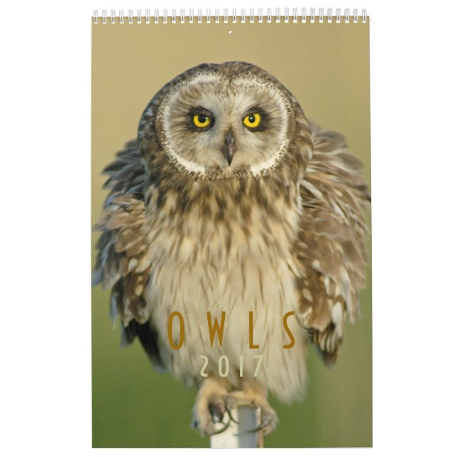 2017 Wall Calendar for Owl Lovers (Cover)