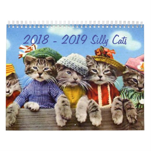 2018 - 2019 Silly Cats Calendar (Cover)