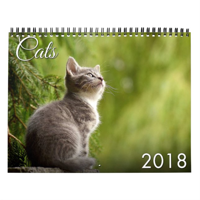 2018 Cat and Kitten Calendar (Cover)