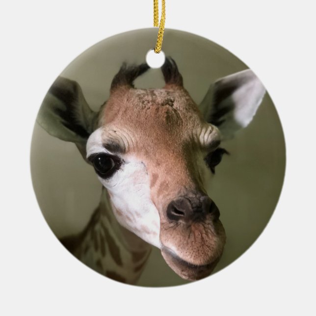2018 Holiday Ornament; Penny the Giraffe Ceramic Tree Decoration (Front)