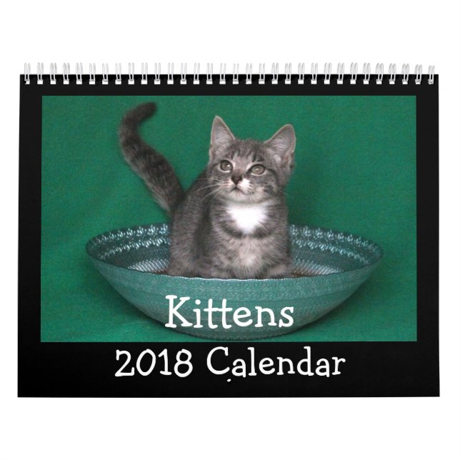 2018 Kitten Calendar (Cover)
