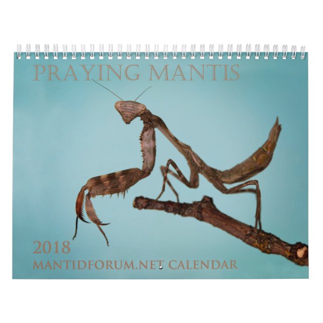 2018 Mantidforum.net Wall Calendar (Cover)