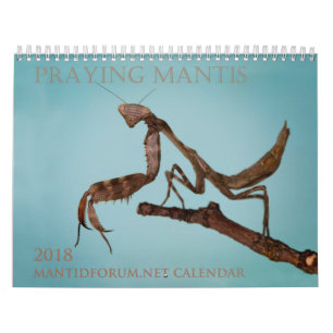 2018 Mantidforum.net Wall Calendar