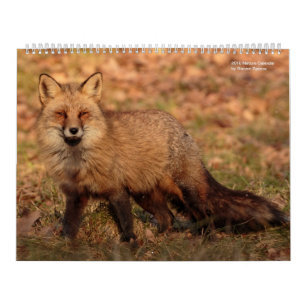 2018 Nature Calender Calendar