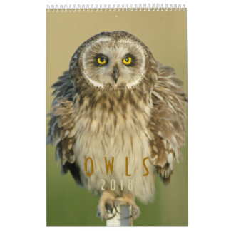 2018  Owl Lovers Wall Calendar