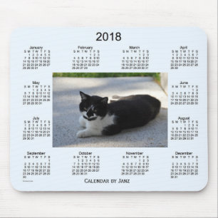 2018 Sassy Cat Calendar by Janz Mouse Mat