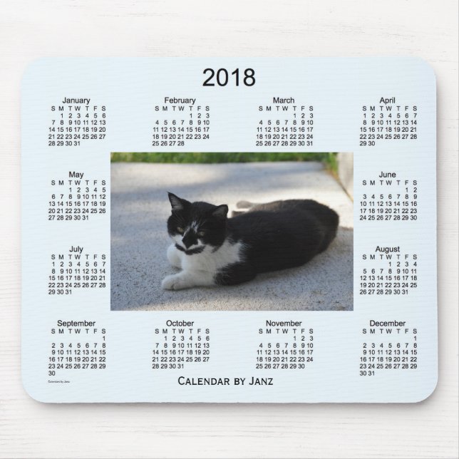2018 Sassy Cat Calendar by Janz Mouse Mat (Front)