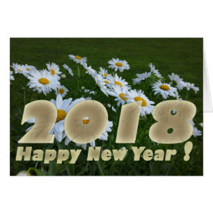 2018 white daisies