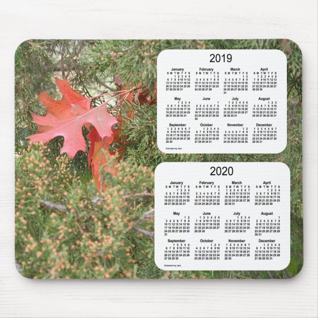 2019-2020 Oak Leaf 2 Year Calendar by Janz Mouse Mat (Front)