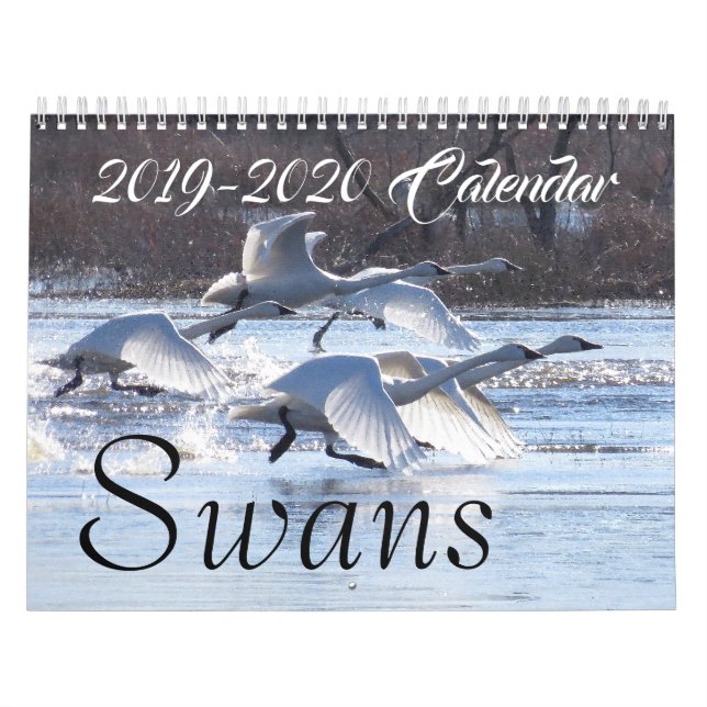 2019 2020 Swan Birds Wildlife Animals Refuge Calendar (Cover)