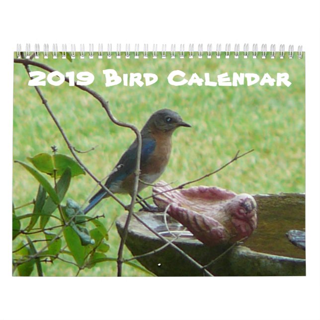 2019 Bird Calendar (Cover)