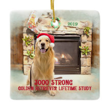 2019 Christmas Ornament - 3000 Strong