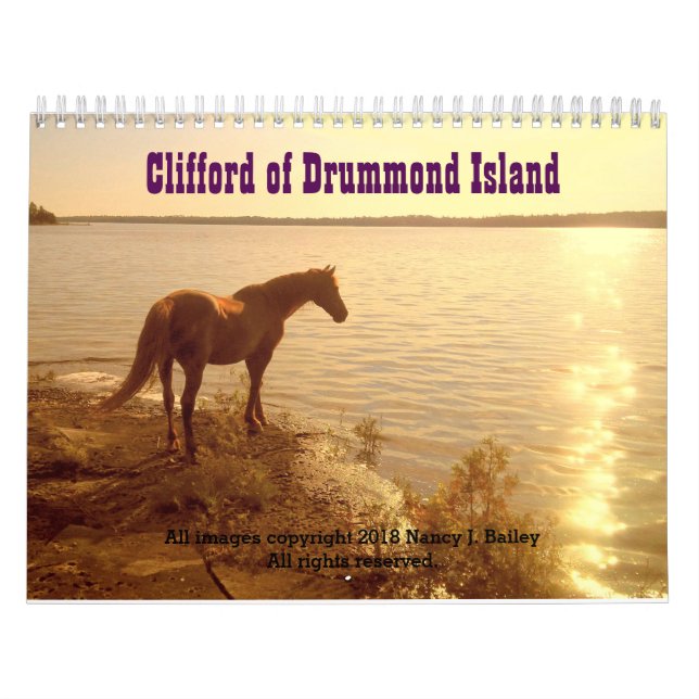 2019 Clifford the Morgan Horse Wall Calendar (Cover)