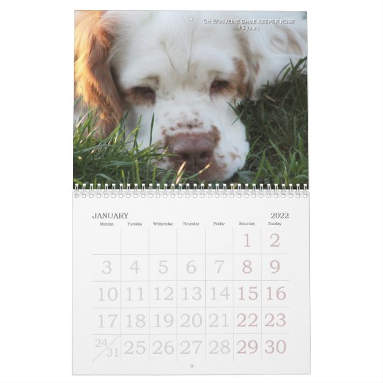 clumber spaniel gifts