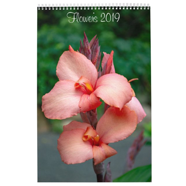 2019 Flowers Wall Calendar by Lisa Blake (Cover)