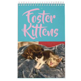2019 Foster Kitten Calendar