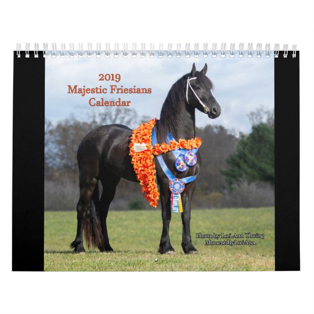 2019 Majestic Friesians Calendar (Cover)