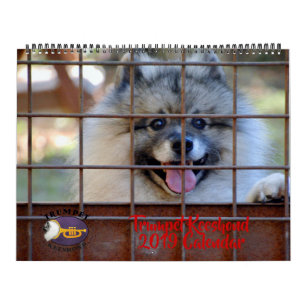 2019 Trumpet Keeshond Calendar