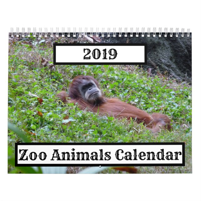 2019 Zoo Animals Calendar (Cover)