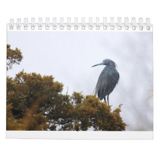 2020 Calendar