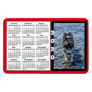 2020 Calendar Magnet Custom Colour Photo Magnet