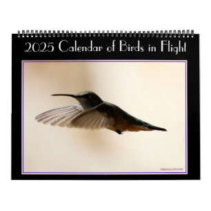 2020 Calendar of Birds in Flight