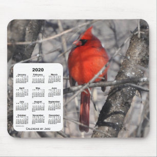2020 Cardinal Bird Calendar by Janz Mouse Mat