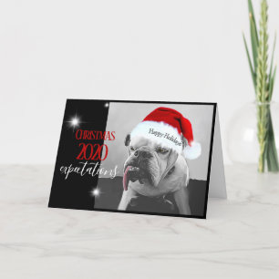 2020 Christmas expectations, Huey in Santa hat. Holiday Card