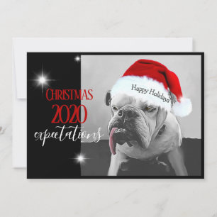 2020 Christmas expectations, Huey in Santa hat. Holiday Card