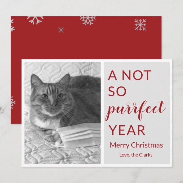 2020 Christmas not so perfect year funny cat/pet Holiday Card (Front/Back)