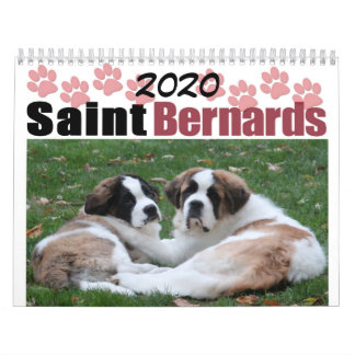2020 Cute Dog Breed Saint Bernard Puppy Calendar