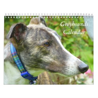 2020 Greyhounds calendar