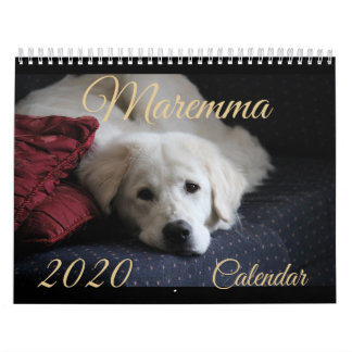 2020 Maremma Calendar