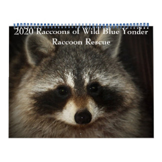 2020 Raccoons of Wild Blue Yonder Racoon Rescue Calendar