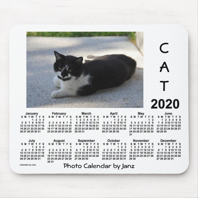 2020 Sassy Cat Photo Calendar by Janz Mouse Mat (Front)