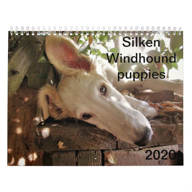 2020 Silken Windhound Puppies Calendar (Cover)