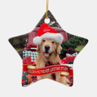 2020 Star Ceramic Ornament