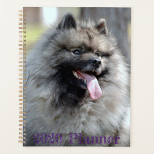 2020 Trumpet planner