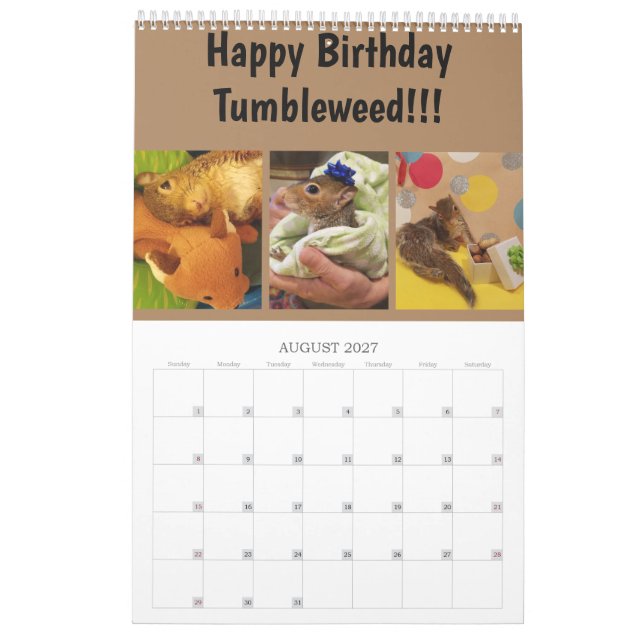 2020 Tumbleweed Calendar (Aug 2027)