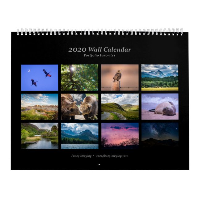 2020 Wall Calendar - Wildlife and Landscapes (Cover)