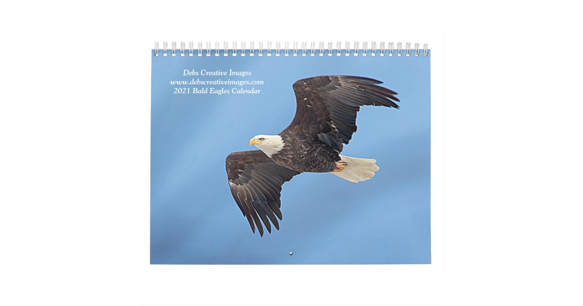 2021 Bald Eagles Calendar Zazzle co uk