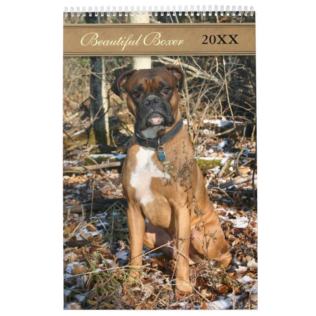 2021 Beautiful Boxer Dog Calendar (Cover)
