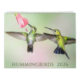 2021 Beautiful Hummingbirds Photography Calendar