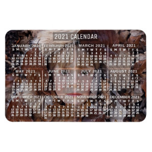 2021 Calendar (See Description for New Version)  Magnet