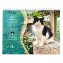 2021 Cat Wall Calendar, Life of Sly Pie