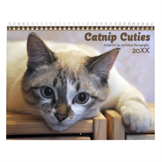 2021 Catnip Cuties Cats and Kittens Calendar (Cover)