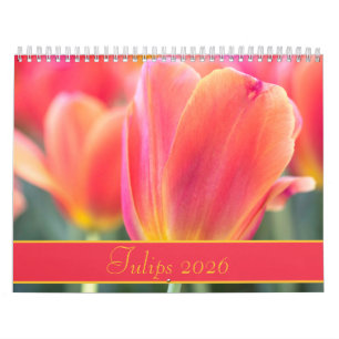 2021 Colourful Tulips Photography Calendar