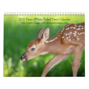2021 Fawn (white-tailed deer) Calendar