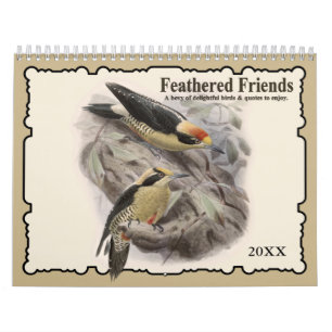 2021 Feathered Friends Bird Wall Calendar