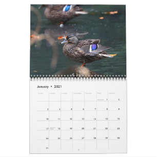 2021 Mallards Calendar